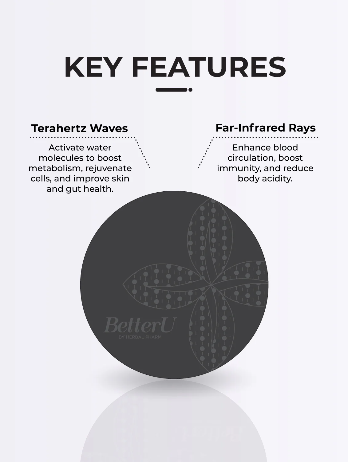 BetterU Disk - Image 4