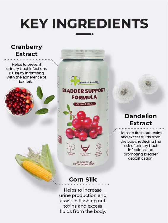 Bladder Support, 60 V-Capsules - Image 6