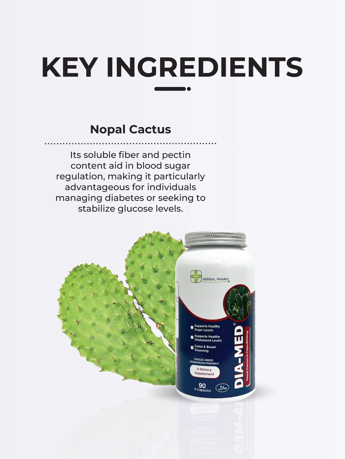 Dia-Med Nopal Cactus, 90 V-Capsules - Image 8