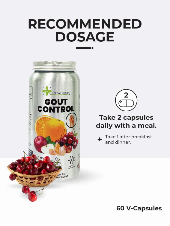 Gout Control, 60 V-Capsules - Image 5
