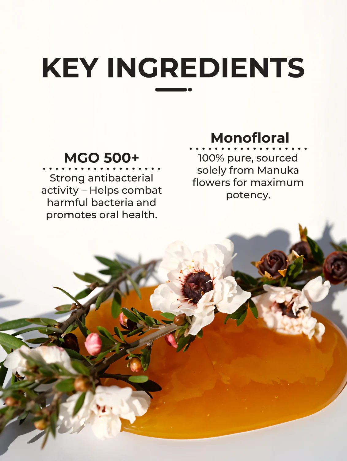 Manuka Honey 500+, 250g - Image 8