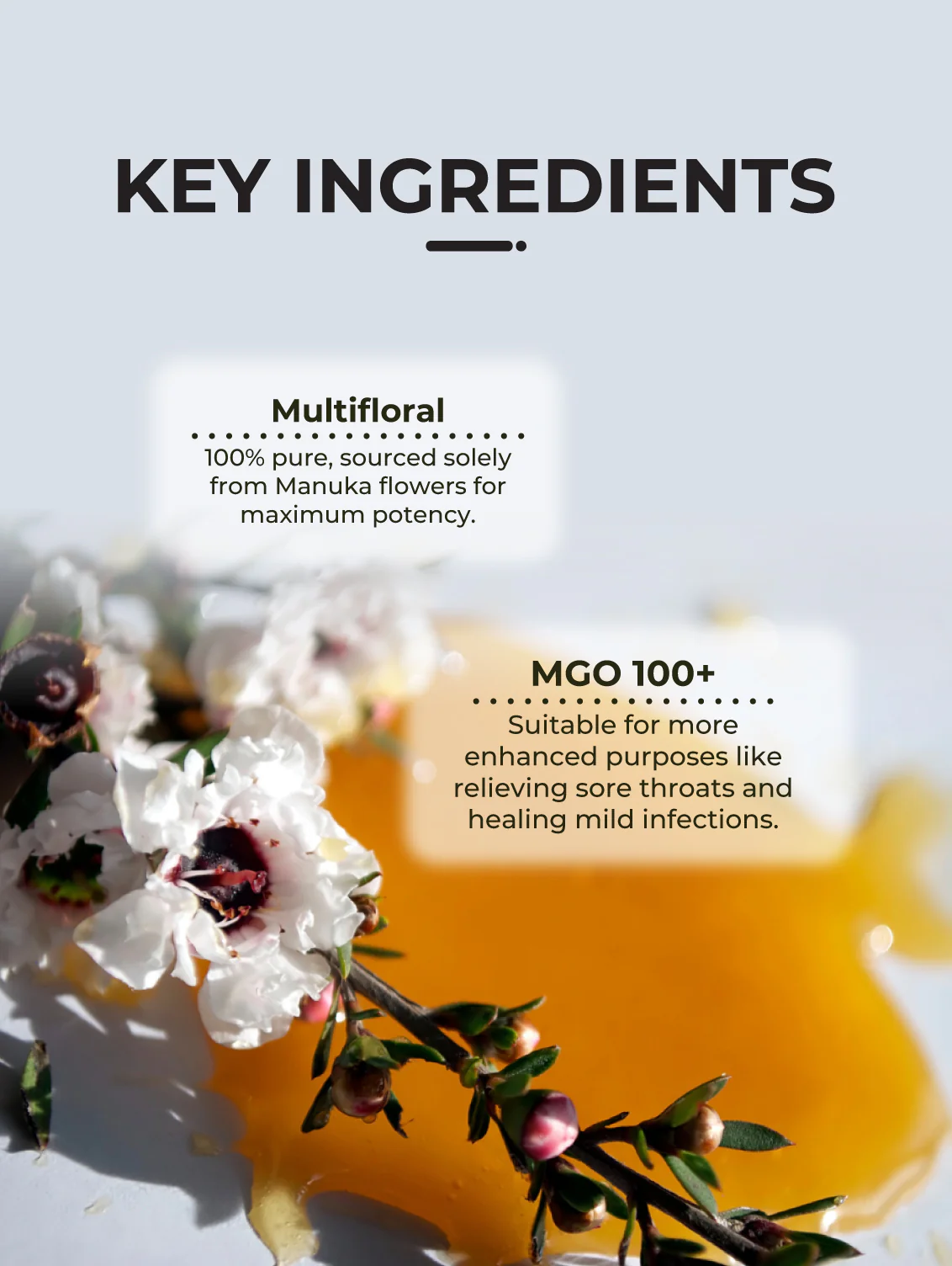 Manuka Honey Sachet 100+, 10g x 15 Sachets - Image 7
